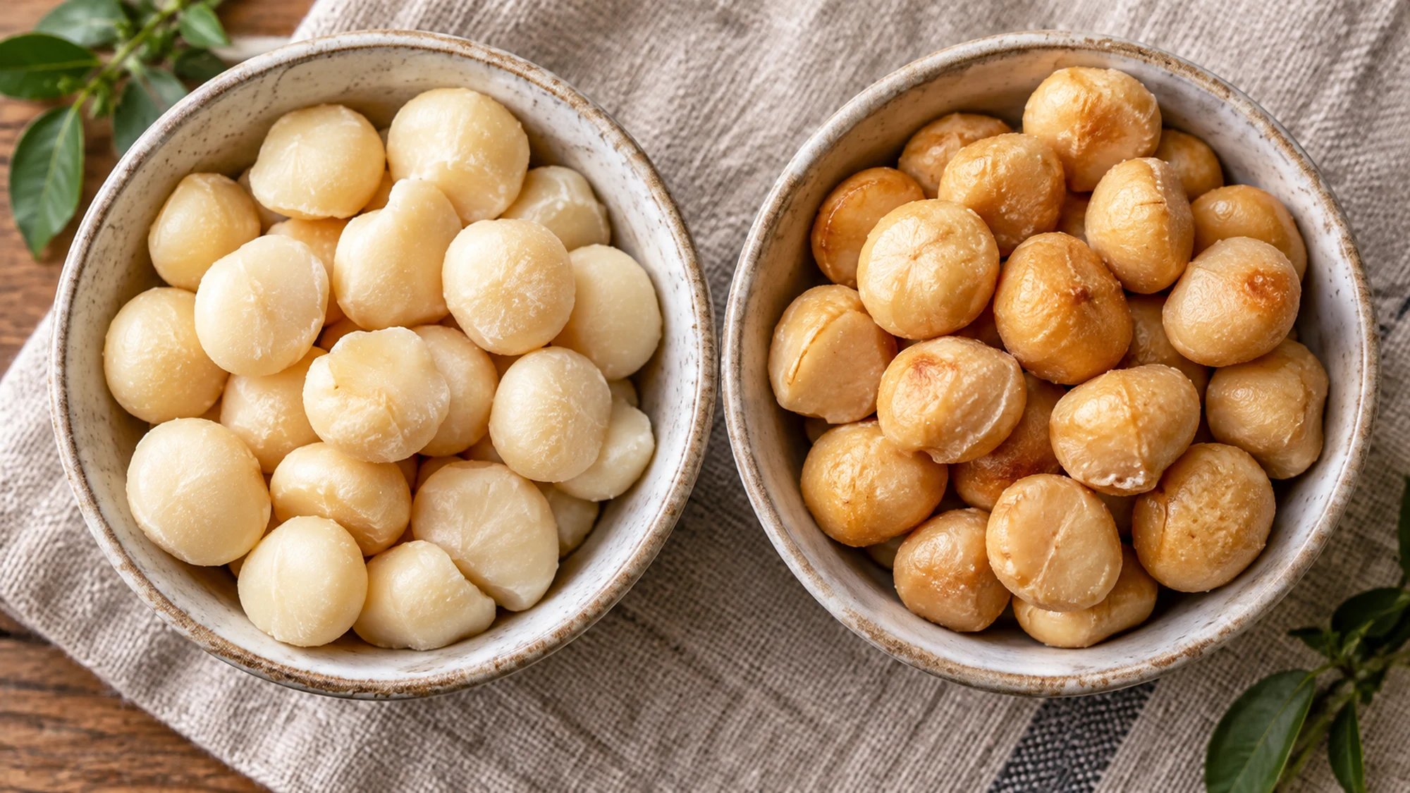 Raw ivory macadamia kernels and golden roasted kernels in separate bowls