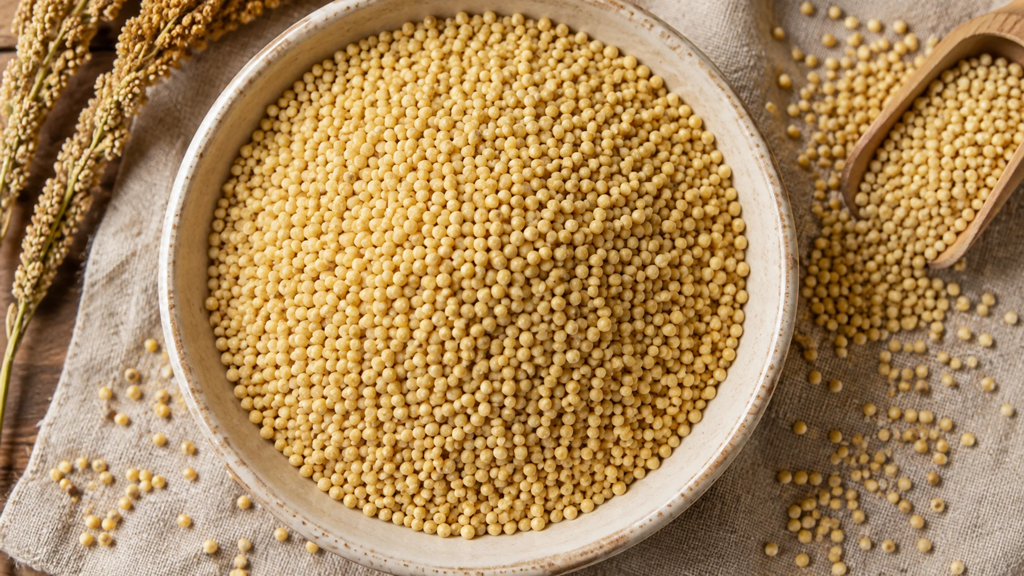 Tiny round golden hulled millet grains in a shallow bowl.
