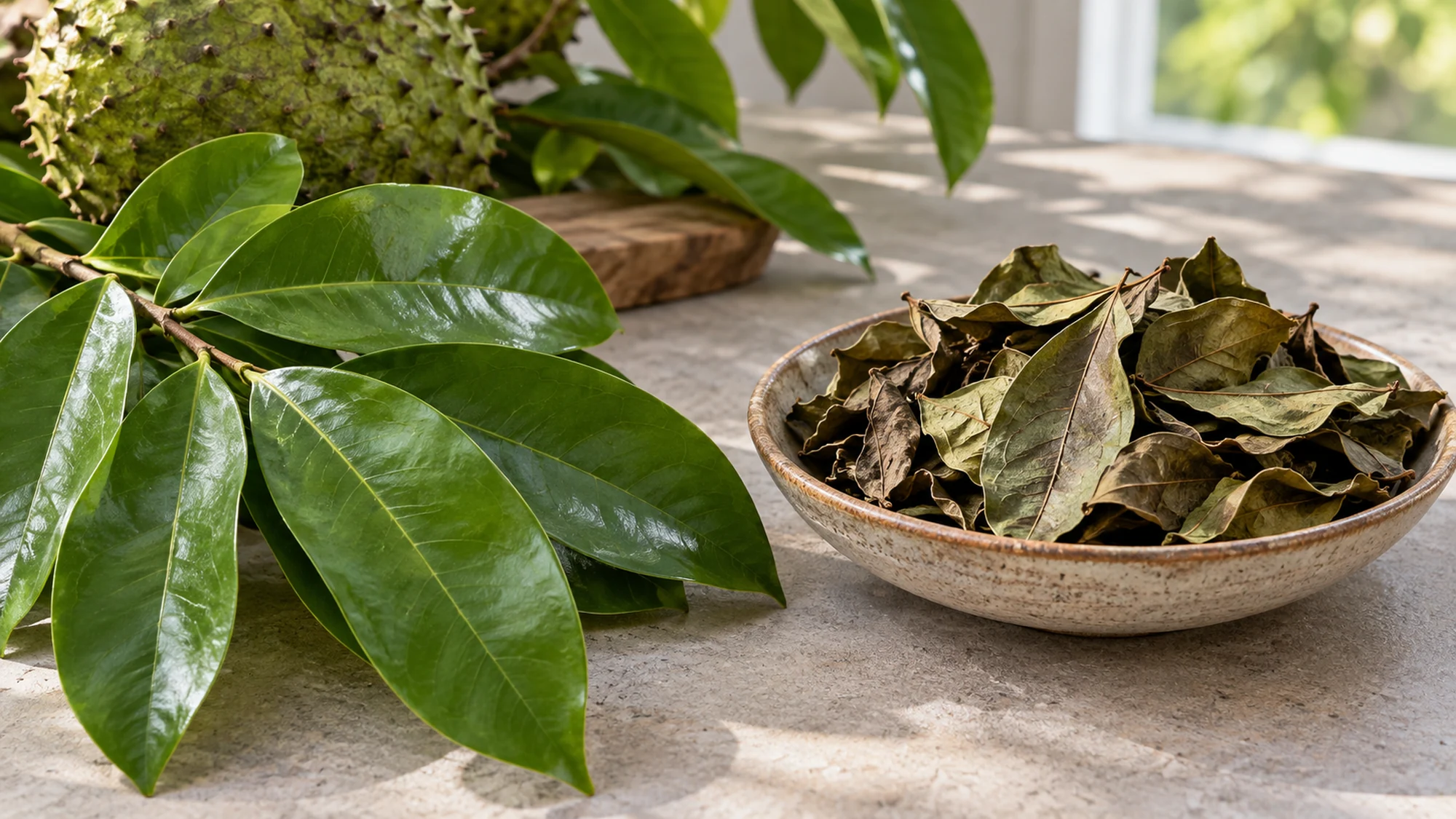 Fresh soursop leaves beside a bowl of dried leaves.